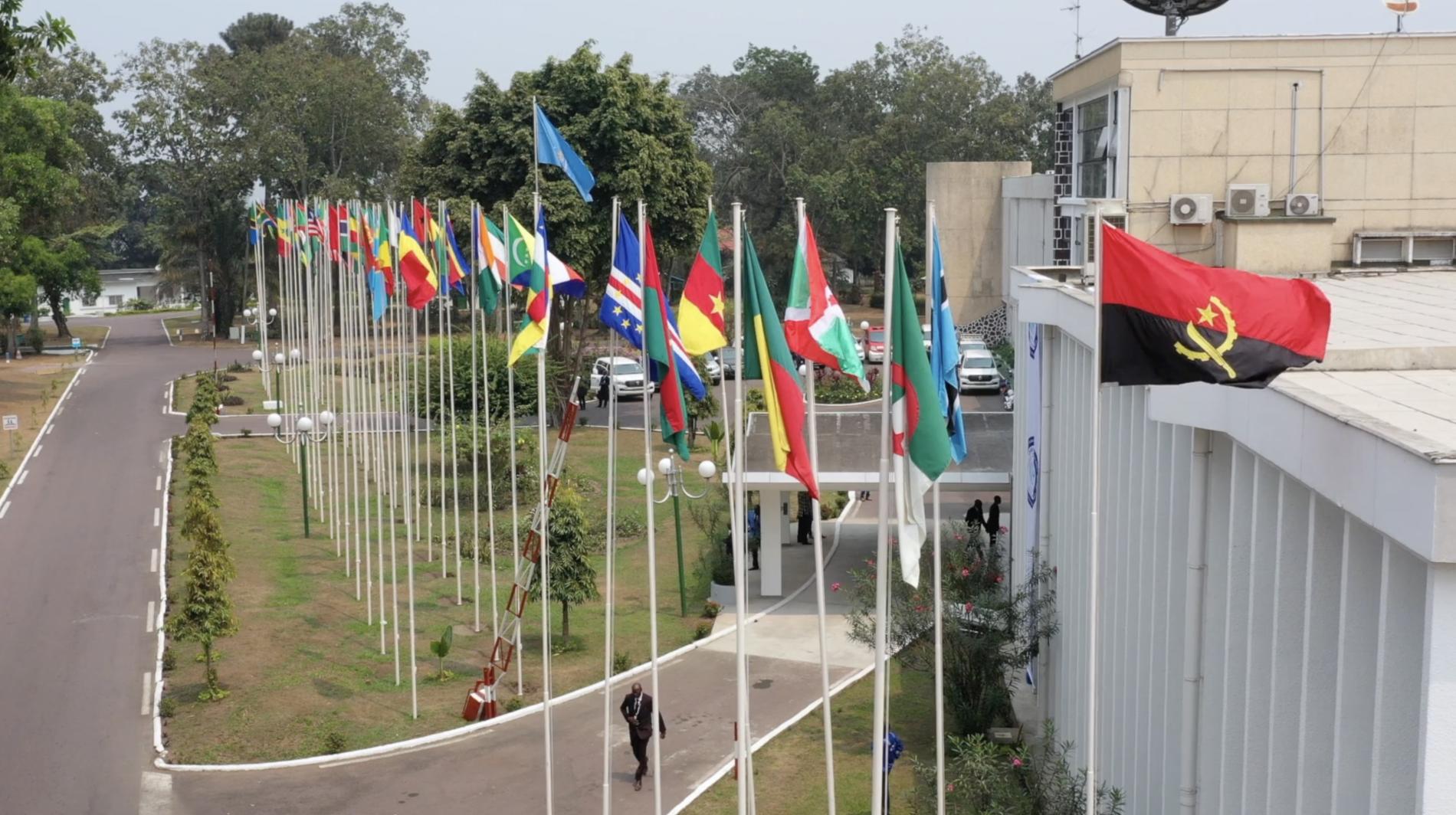 Désignation du nouveau Directeur régional de l’OMS pour l’Afrique : forum des candidats