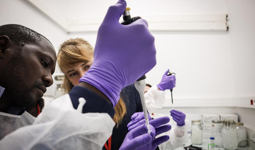 From sample collection to laboratory analysis 